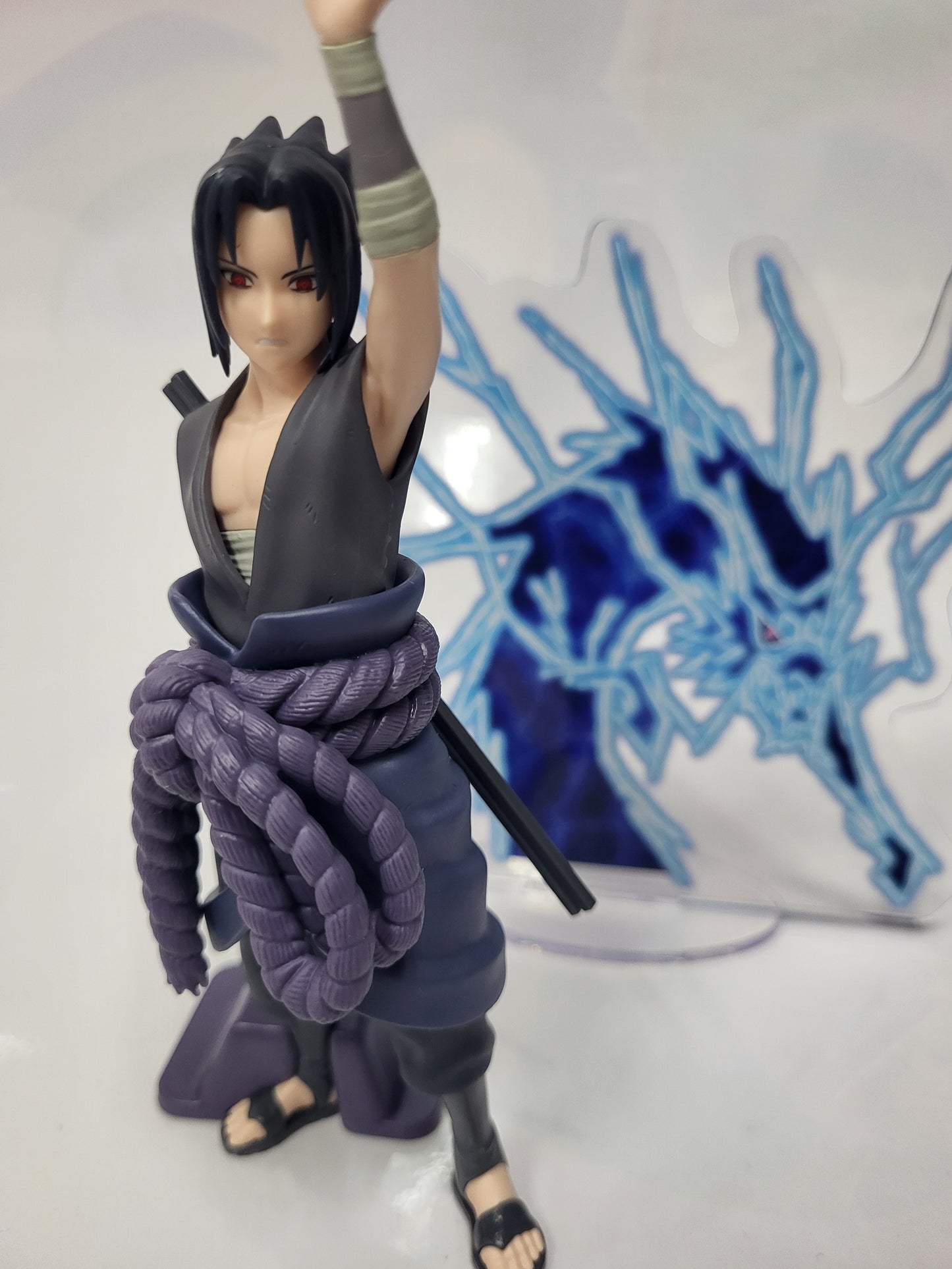 SASUKE PANEL SPECTACLE