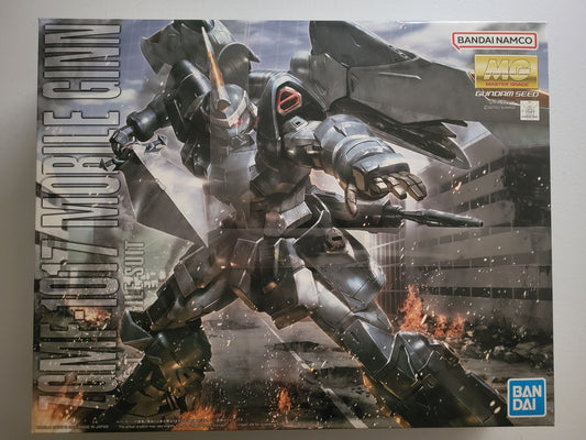 MG 1/100 GINN